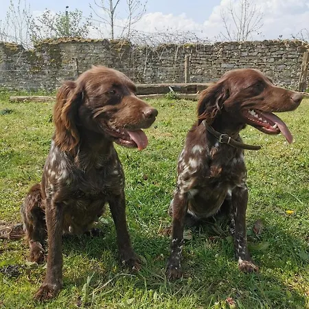 A La Ferme D'ourches