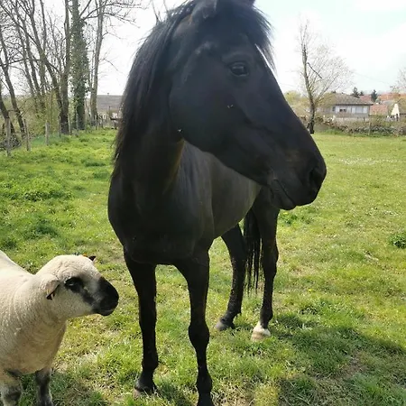 A La Ferme D'ourches