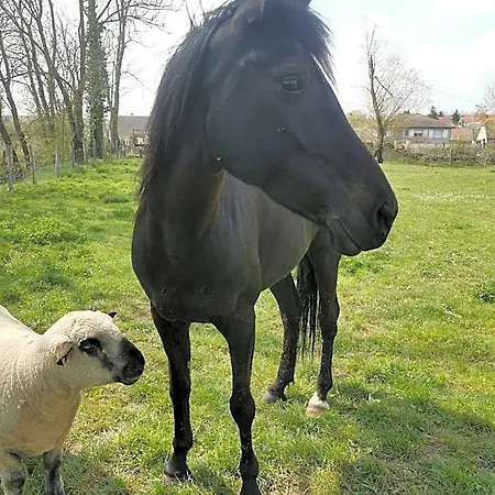 A La Ferme D'ourches *