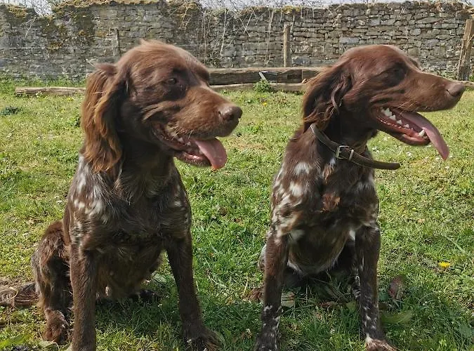 A La Ferme D'ourches